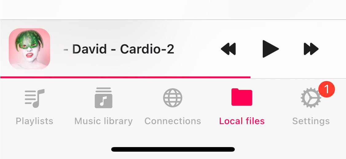flacbox mini player on iphone