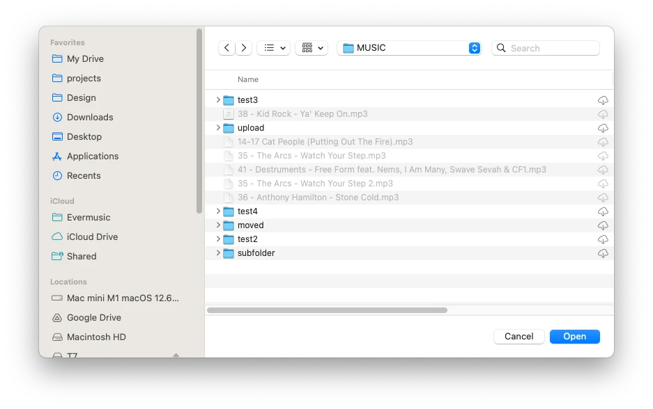 choose files in icloud drive folder