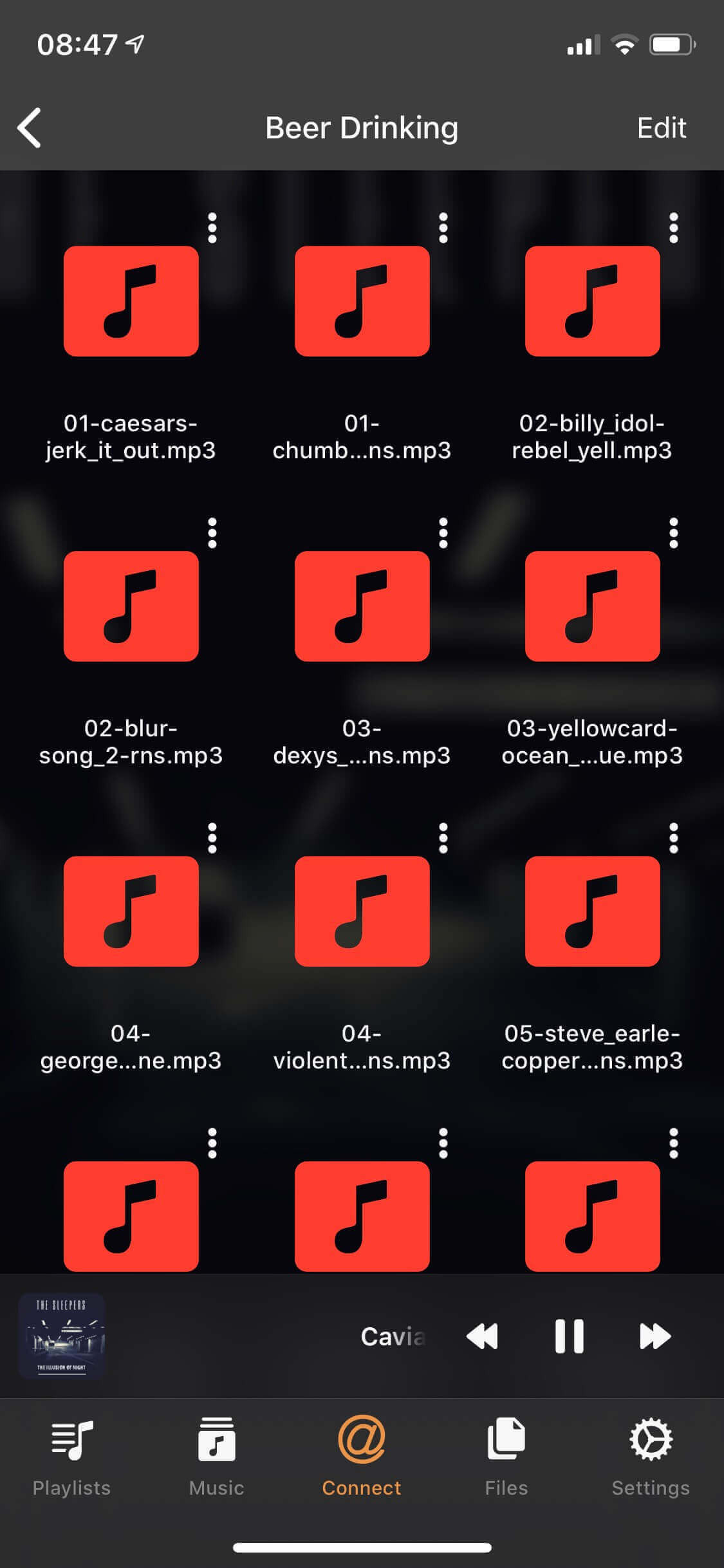 Evermusic: Audio Files For iXpand Drive